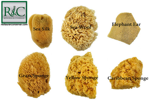 Esponjas_do_mar_m