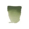 Color: 668 Chromium oxide green